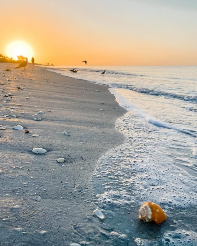 What You Need To Know About Planning a Vacation to Sanibel Island & Captiva