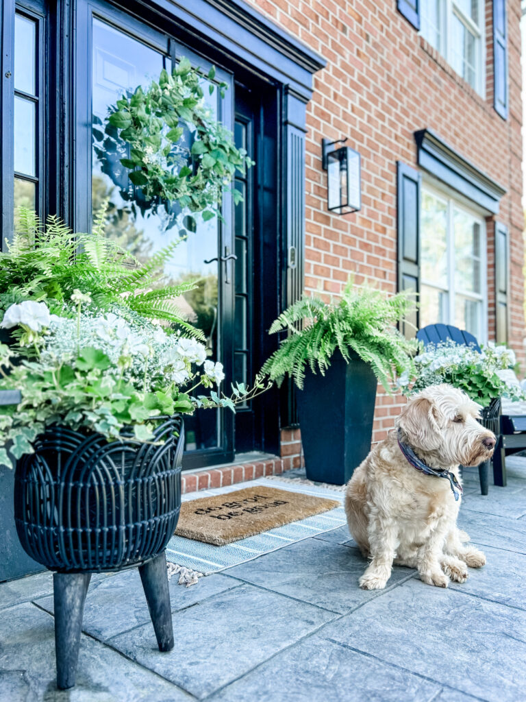 Welcoming Front Porch a pair of black, tapered, cylindrical planters