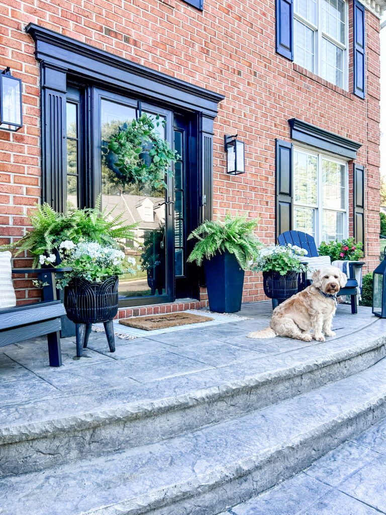 Welcoming Front Porch ferns in tall, black planters, a faux boxwood wreath on the black front door, and a cozy Adirondack chair