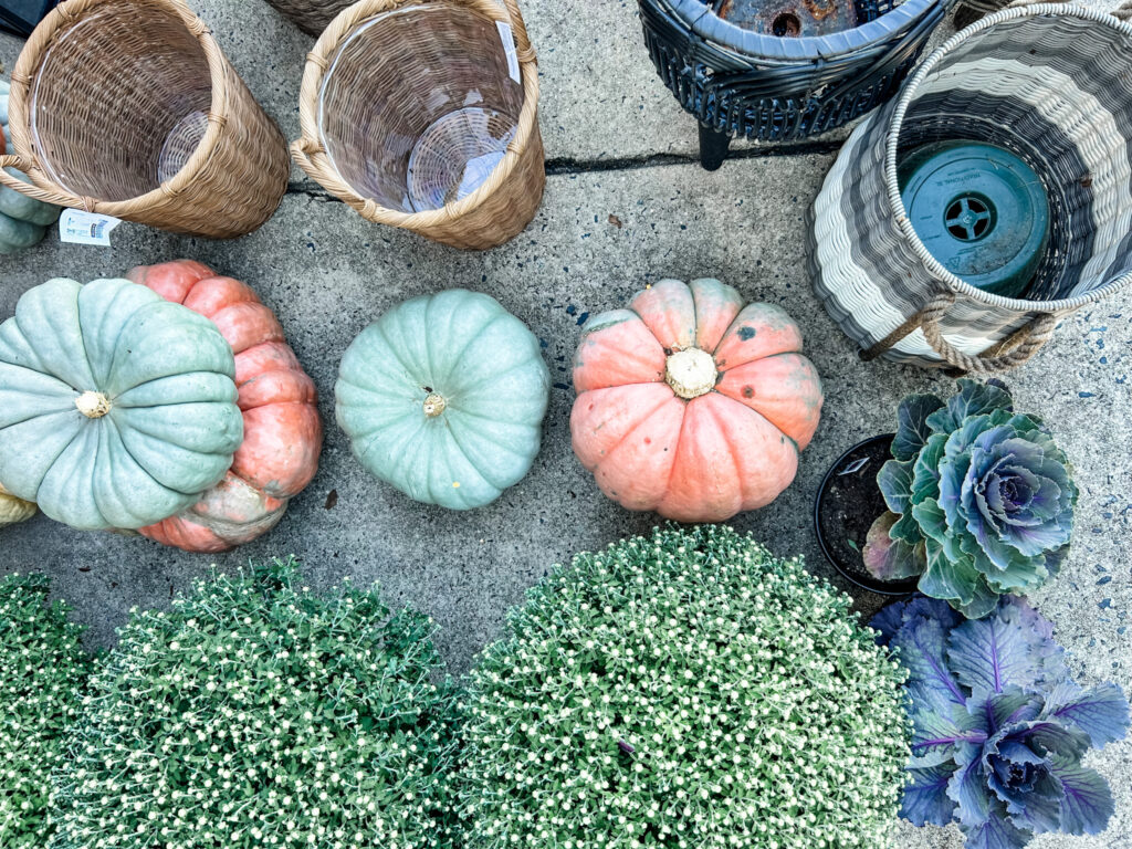 Fall mums and pumpkins with planter baskets