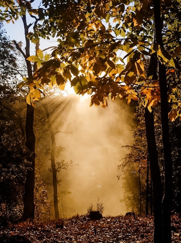 Fall Essentials – What Is Saving My Life In Fall